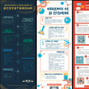 12 Infografías sobre suplementación